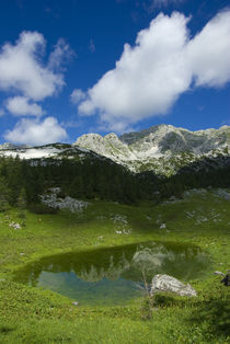 Little lake by Ivan Coric