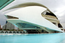 Valencia, Palau de les Arts 1 by Frank Rother