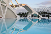 Valencia, Ciudad de las Artes y las Ciencias von Frank Rother