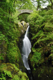 Aira Force Waterfall, Cumbria von Craig Joiner