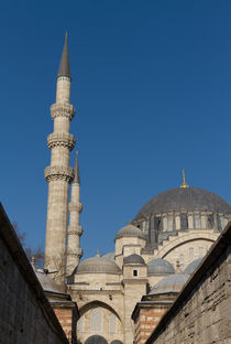 Suleymaniye Mosque von Evren Kalinbacak