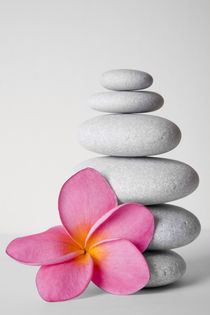 Frangipani Zen by Alex Bramwell