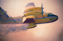 Canadair on Fire von Leonardo Filippi