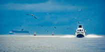 carribean water taxi von Philipp Kayser