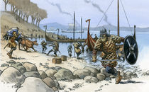 Viking raid von christian-hoejgaard