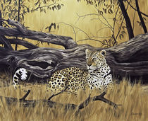 Leopard at dead tree by Andre Olwage