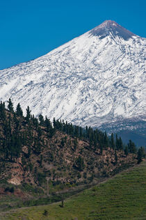 Teide, Tenerife, Teneriffa von Raico Rosenberg