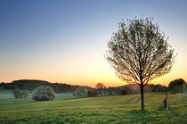 Morgenstimmung am Vogelsberg, Hessen von Thomas Schaefer