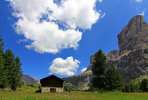 Mitten im Paradies von Wolfgang Dufner