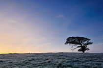 Winter Sunrise by Craig Joiner