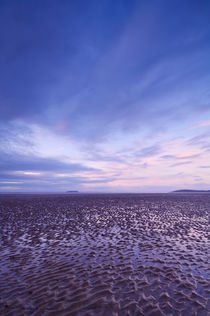 Berrow Flats, Somerset von Craig Joiner