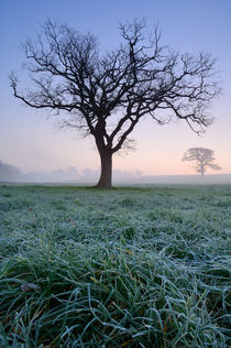 Rural Dawn Landscape von Craig Joiner