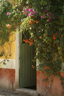 Flower Bedecked Doorway von John Mitchell