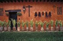 Cuernavaca Wall von John Mitchell