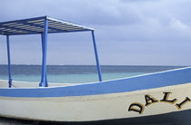 Dali Boat von John Mitchell