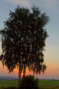 Stille Abendstunde von Wolfgang Dufner