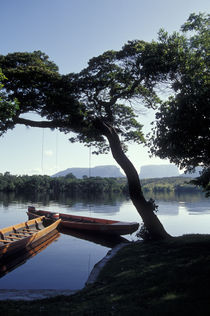 Peace on the  Rio Carrao von John Mitchell