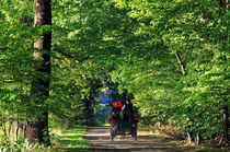 Red Hats in the green wood von Wolfgang Dufner