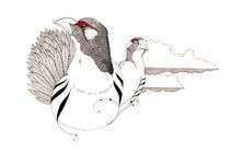 Tibetan snow hen von Mikael Biström