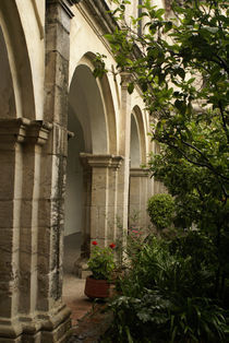 Monastery Arches von John Mitchell