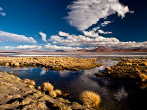 Laguna Colorada von Thomas Cristofoletti