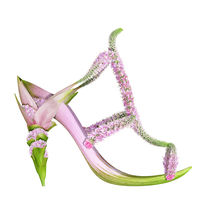 Shoe Fleur 10 by Michel Tcherevkoff