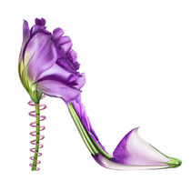 Shoe Fleur 17 by Michel Tcherevkoff