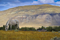 El Calafate von pahit