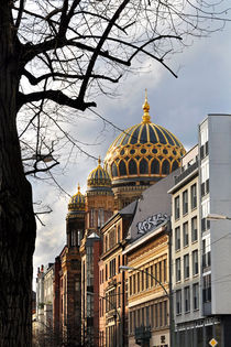 Neue Synagoge in der Oranienburger Strasse von captainsilva