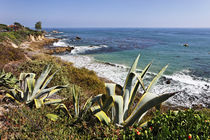 Southern California Seascape von Eye in Hand Gallery