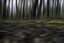 Wald - abstrakt - Bewegung by jaybe