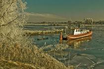 Winter in Culemborg von Stefan Antoni - StefAntoni.nl