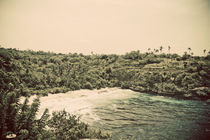 Nusa Lembongan Beach Landscape by Darren Martin