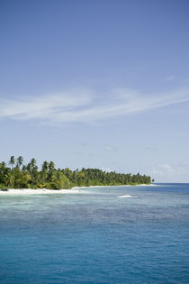 Maldivian Island 3 von Darren Martin