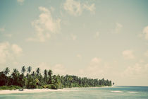 Maldivian Island 1B von Darren Martin
