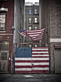 American Flag by Darren Martin