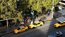Yellow cabs von Darren Martin