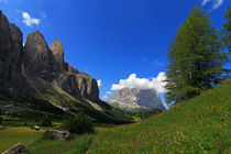 Im Tal der Blumen by Wolfgang Dufner