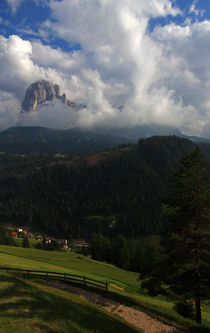 Blick ins Tal von Wolfgang Dufner