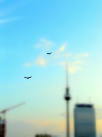 Birds flying high... von Karina Stinson