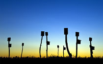 Birdhouses in salt marsh, Cape Cod, Massachusetts, USA von John Greim