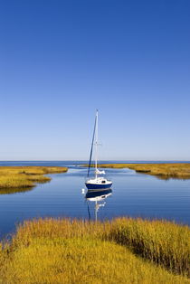 Salt Marsh, Sailboat, Cape Cod, USA von John Greim