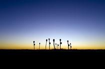 Salt Marsh Birdhouses by John Greim