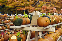Pumpkin festival, New Hampshire, USA by John Greim