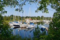 Sailboats in harbor, Cape Cod von John Greim