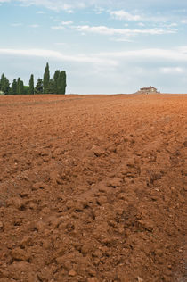 Red soil von Michael Schickert