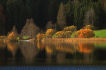 Herbstleuchten von pichris