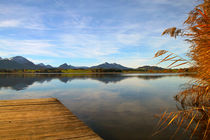 Allgäu-Hopfensee von pichris