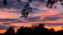 The countryside at dusk. von Jack Knight