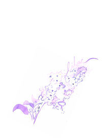 Lilac von Johanna Fernihough